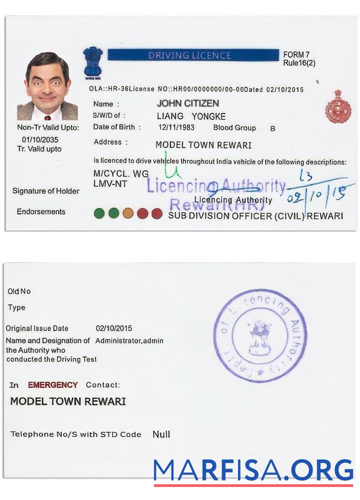 Realistic India driving license version 5 template